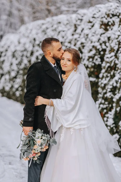 Sensitive portrait of happy newlyweds. The groom hugs and kisses the bride in the winter park. The bride in a wedding dress and a white poncho. The groom is dressed in a black coat.