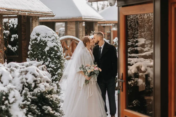 Gyönyörű Boldog Menyasszony Vőlegény Csókolóznak Hófákkal Borított Fák Között Menyasszony — Stock Fotó