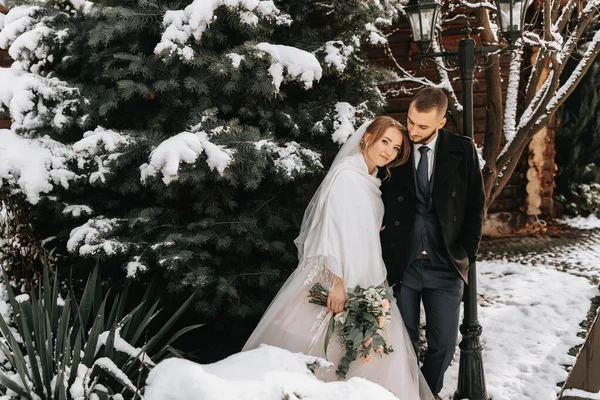Glückliche Braut Und Bräutigam Umarmen Sich Neben Verschneiten Weihnachtsbäumen Bräutigam — Stockfoto