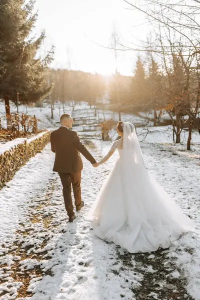 The bride and groom are walking in the winter garden. Winter photo session in nature.