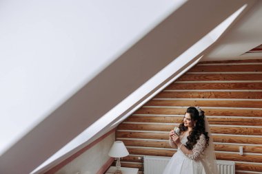 Genç bir gelinin harika bir portresi. Uzun kıvırcık saçlı, düğün makyajı ve mücevher çelengi olan güzel bir gelin. İçi güzel kahverengi gözlü bir düğün fotoğrafı modeli..