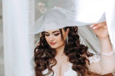 Genç bir gelinin harika bir portresi. Uzun kıvırcık saçlı, düğün makyajı ve mücevher çelengi olan güzel bir gelin. İçi güzel kahverengi gözlü bir düğün fotoğrafı modeli..