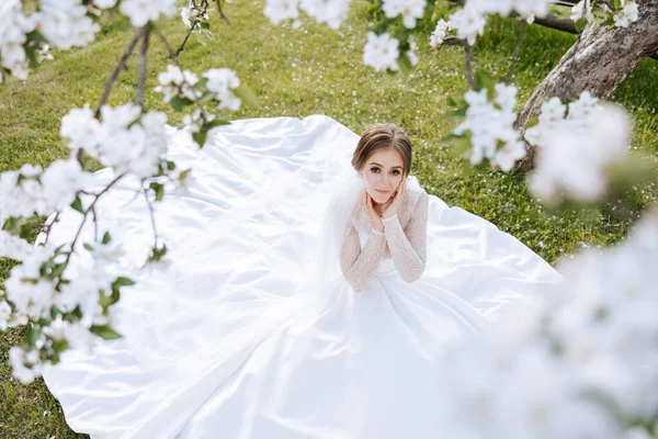 在一棵盛开的树的背景下 一个红头发的新娘摆出姿势 坐在绿草上 华丽的衣服 长袖子 敞开的胸围 春天的婚礼 — 图库照片