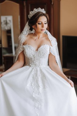 Güzel bir saç stili ve muhteşem bir elbisesi olan lüks bir gelin sabahki düğün törenine hazırlanıyor. Gelinin sabah fotoğrafı evde ya da otel odasında. Profesyonel makyaj..