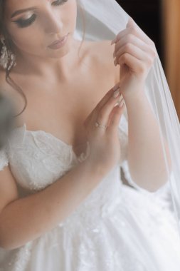 Duvağın altında beyaz dantelli gelinlik içinde güzel esmer prenses gelin. Düğün fotoğrafçılığı, yakın plan portre.