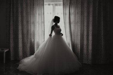 Güzel bir saç stili ve muhteşem bir elbisesi olan lüks bir gelin sabahki düğün törenine hazırlanıyor. Gelinin sabah fotoğrafı evde ya da otel odasında. Profesyonel makyaj..