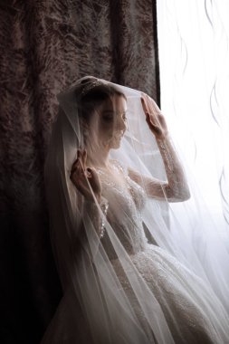 Güzel bir saç stili ve muhteşem bir elbisesi olan lüks bir gelin sabahki düğün törenine hazırlanıyor. Gelinin sabah fotoğrafı evde ya da otel odasında. Profesyonel makyaj..