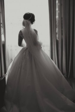 Güzel bir saç stili ve şık bir elbisesi olan lüks bir gelin sabahki düğün törenine hazırlanıyor. Gelinin sabah fotoğrafı evde ya da otel odasında..