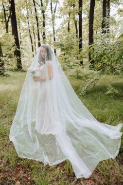 Güzel bir gelin, yeşil bir bahar ormanında duvak manzaralı göz kamaştırıcı beyaz bir gelinlikle duruyor. Beyaz elbiseli romantik bir gelin ormanın arka planında poz veriyor..