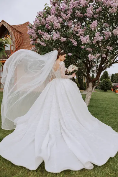 Brünette Braut Einem Weißen Spitzenkleid Mit Langer Schleppe Posiert Mit — Stockfoto