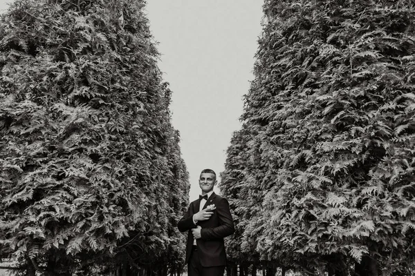 The groom in a black suit adjusts his jacket, poses against the background of a green tree. Wedding black and white portrait.
