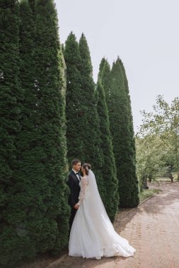 Yakışıklı bir damat, gelinini bembeyaz bir elbiseyle kucaklıyor ve güzel bir açık havada gülümsüyor. Açık gökyüzünün altında. Yüksek kalite fotoğraf. Yeni evli bir çift güneşli bir yaz gününde birlikte poz verir..