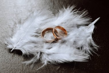 Beyaz tüylü şık alyanslar. Nişan sözü veriyor. Lüks evlilik ve düğün aksesuarı konsepti. İki alyans ve bir düğün davetiyesi..