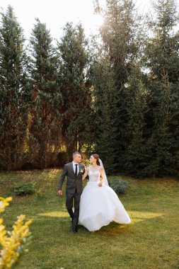 Bir düğün çifti bir sonbahar günü doğada yürüyor. Mutlu genç gelin ve zarif damat el ele tutuşuyor. Yeni evlilerin düğün gününde şık bir çift..