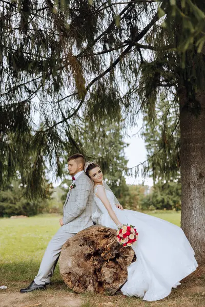 Heerlijke Pasgetrouwden Een Prachtige Locatie Bruid Een Witte Trouwjurk Naast — Stockfoto