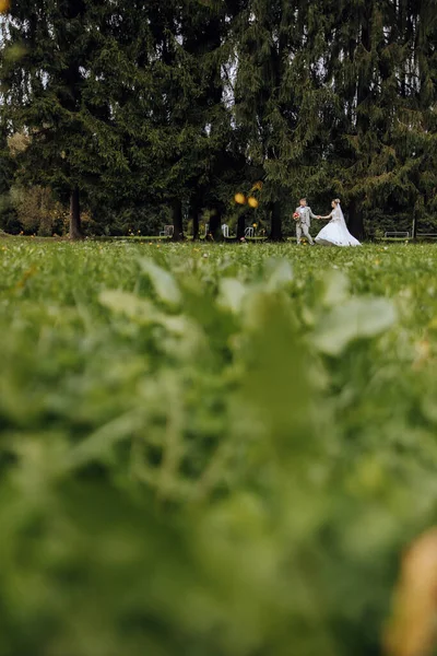 Bruidspaar Een Wandeling Het Herfstpark Bruid Een Mooie Witte Jurk — Stockfoto