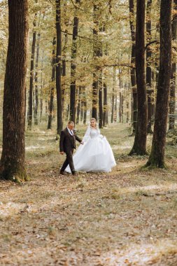 Bir düğün çifti bir sonbahar günü doğada yürüyor. Mutlu genç gelin ve zarif damat el ele tutuşuyor. Yeni evlilerin düğün gününde şık bir çift..