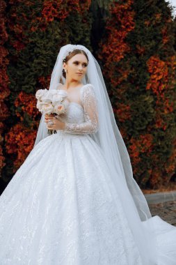 Portre. Elbise ve peçeli esmer bir gelin şık bir taçla buketle poz veriyor. Gümüş mücevherler. Güzel makyaj ve saç. Sonbahar düğünü. kutlama