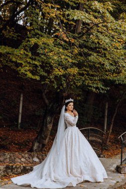 Portre. Elbise ve peçeli esmer bir gelin şık bir taçla poz veriyor. Gümüş mücevherler. Güzel makyaj ve saç. Sonbahar düğünü. kutlama