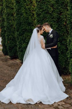 Genç bir gelin ve damat sonbahar güneşinin ışınlarında şefkatle kucaklaşır. Şefkatli ve güzel genç kız gelin. Bir adam sevgilisini öper. Güzel bir bahçenin arka planında