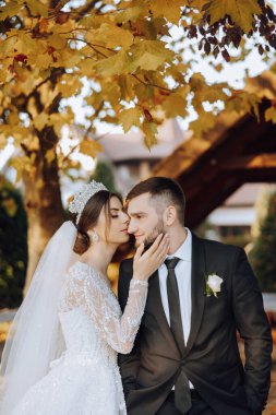 Güzel ve şık yeni evliler güzel bir bahçede sonbahar doğasının arka planına karşı sarılıp gülümsüyorlar. İnanılmaz güzel genç bir gelin, sevgili damadının omzuna yaslandı.