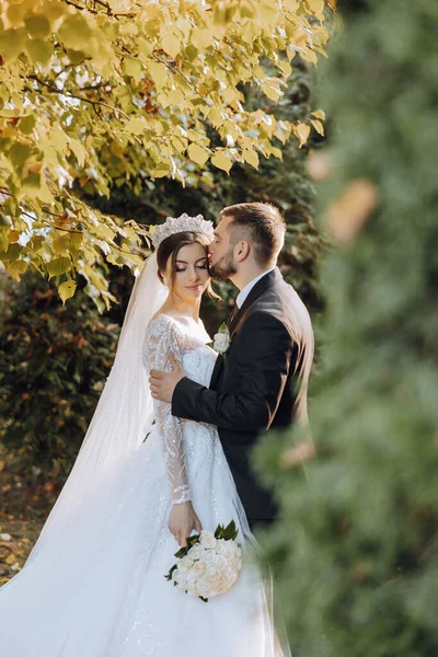 Genç bir gelin ve damat sonbahar güneşinin ışınlarında şefkatle kucaklaşır. Şefkatli ve güzel genç kız gelin. Bir adam sevgilisini öper. Güzel bir bahçenin arka planında