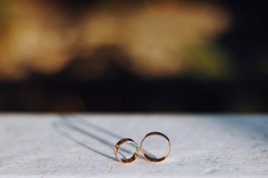 Doğanın arka planına sahip ahşap bir stantta iki alyans. Arka plan bulanık, alyanslar yakın plan.