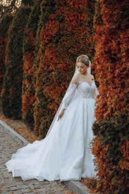 Düğün portresi. Sarışın gelin, dantelli, omuzları açık, ağaçların arka planında poz veriyor. Güzel saç ve makyaj. Sonbahar. Gün ışığı. kutlama.