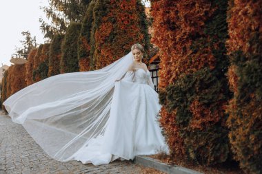 Düğün portresi. Sarışın gelin, dantelli, omuzları açık, ağaçların arka planında poz veriyor. Güzel saç ve makyaj. Sonbahar. Gün ışığı. kutlama.