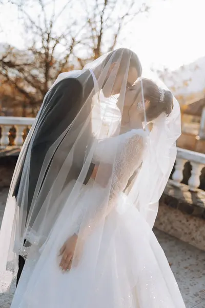 Молодая Невеста Жених Нежно Обнимаются Лучах Осеннего Солнца Нежная Красивая — стоковое фото