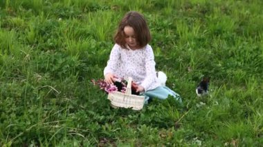 Sarışın, kısa saçlı küçük bir kız bahçedeki yeşil çimlerin üzerinde tavşancıklarla oynuyor. Paskalya bahar tatili ve çocukların eğlencesi..