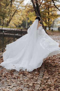 Beyaz elbiseli bir kadın parkta yürüyor. Elbisesi uzun ve dalgalı, ve o bir peçe takıyor. Sahne huzurlu ve sakin, kadının elbisesi rüzgarda dalgalanırken