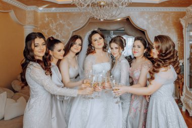 Bir grup kadın bir fotoğraf için poz veriyor, içlerinden biri gelinlik giyiyor. Hepsinin elinde şampanya bardakları var ve atmosfer kutlama ve neşe dolu görünüyor.
