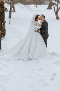 Bir gelin ve damat karda öpüşüyor. Gelin beyaz bir elbise giyiyor ve damat da takım elbise giyiyor.