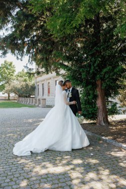 Bir gelin ve damat bir ağacın altında öpüşüyor. Gelin beyaz bir elbise giyiyor ve damat siyah bir takım giyiyor.