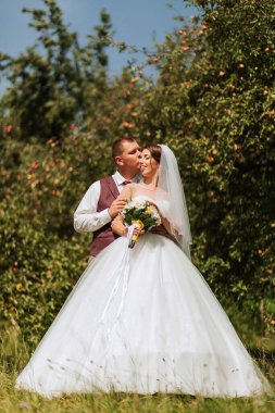 Bir gelin ve damat elma tarlasında kucaklaşıyor. Gelin beyaz bir elbise giyiyor ve damat yelek giyiyor.