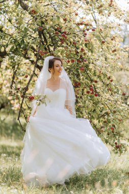Beyaz bir elbise ve duvak takmış bir gelin elma tarlasında duruyor. Elinde bir buket çiçek tutuyor ve güzel manzaranın tadını çıkarıyor.