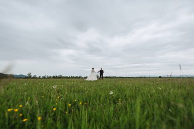 Bir çift, üzerlerinde bulutlu bir gökyüzü olan bir çimen tarlasında yürüyor. Sahne huzurlu ve romantik.