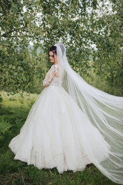 Beyaz bir duvak ve uzun bir trenle bir gelin tarlada duruyor.
