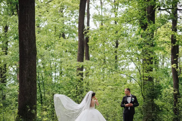 Bir gelin ve damat ağaçlarla çevrili bir ormanda duruyorlar. Damat takım elbise giyerken gelin beyaz bir elbise ve peçe takıyor. Sahne romantik ve huzurlu.