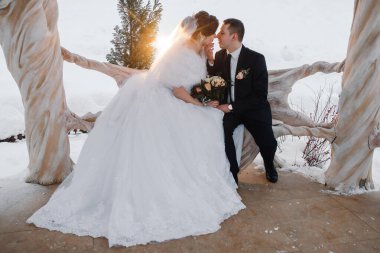 Bir gelin ve damat karda bir bankta oturuyor. Gelin beyaz bir elbise giyiyor ve damat siyah bir takım elbise giyiyor. El ele tutuşup kameraya gülümsüyorlar.