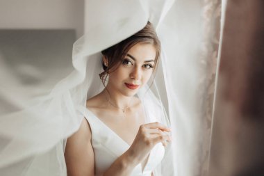 Gelinlikli bir kadın pencerenin önünde duruyor. O bir peçe takıyor ve üzerinde kırmızı ruj var. Görüntünün bulanık bir kalitesi var, bu da ona rüya gibi, romantik bir his veriyor.