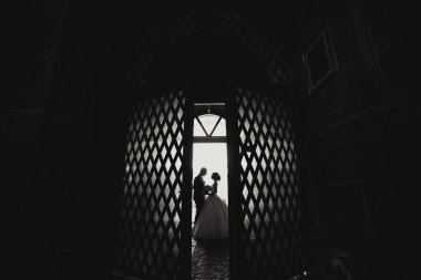 Gelin ve damat kapının önünde, gelinle birlikte uzun bir elbise giyiyorlar. Çift bir aşk ve bağlılık anında yakalanırken, görüntüde duygusal ve samimi bir his var.