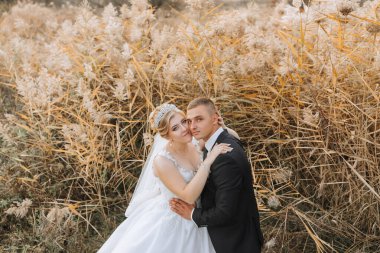 Bir gelin ve damat, çim tarlasında fotoğraf çektirmek için poz veriyorlar. Gelin beyaz bir elbise giyiyor ve damat bir takım elbise giyiyor. Sahne romantik ve samimi.