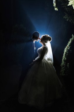 Bir gelin ve damat karanlıkta öpüşüyor. Gelin beyaz bir elbise giyiyor ve damat da takım elbise giyiyor.