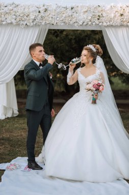 Bir gelin ve damat düğün resepsiyonunda şampanya içiyorlar. Gelin beyaz bir elbise giyiyor ve damat bir takım elbise giyiyor. Atmosfer neşeli ve kutlama dolu.