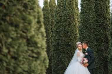 Bir gelin ve damat bir sıra ağacın önünde öpüşüyorlar. Gelin beyaz bir elbise giyiyor ve damat da takım elbise giyiyor.