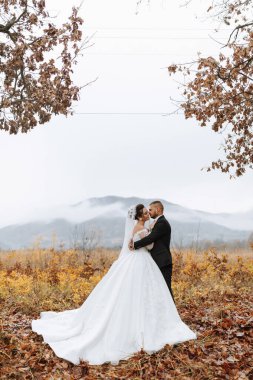 Bir gelin ve damat sarı yapraklı bir tarlada duruyorlar, arkasında bir dağ var.