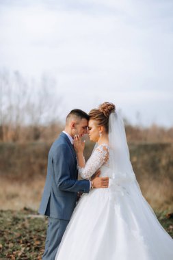 Bir gelin ve damat tarlada birbirlerine sarılıyorlar. Gelin beyaz bir elbise giyiyor ve damat mavi bir takım elbise giyiyor. Sahne mutlu ve romantik.