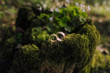 İki altın alyans yosunlu bir kayanın üzerinde. Yosunlu kaya yeşil bitkilerle çevrili.